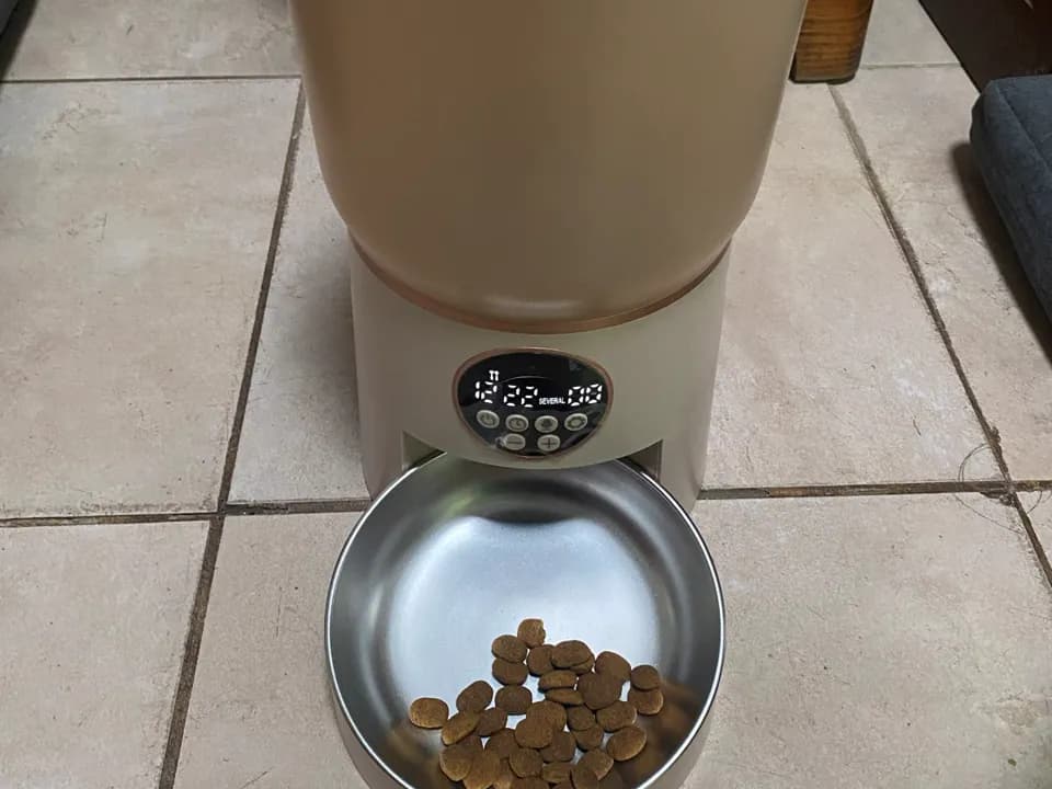 El comedero automático con el plato lleno de alimento