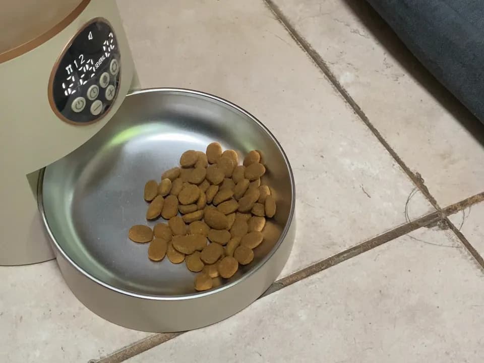 El plato de acero con alimento servido